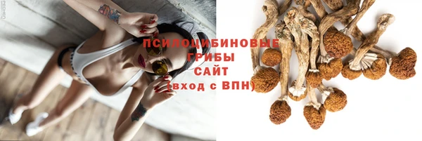 мяу мяу мука Магас