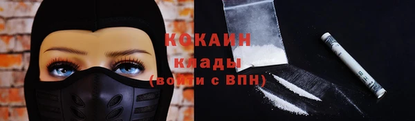гашик Алзамай