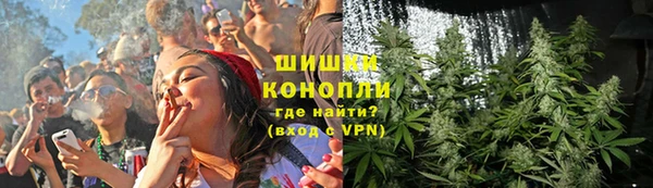 гашик Алзамай