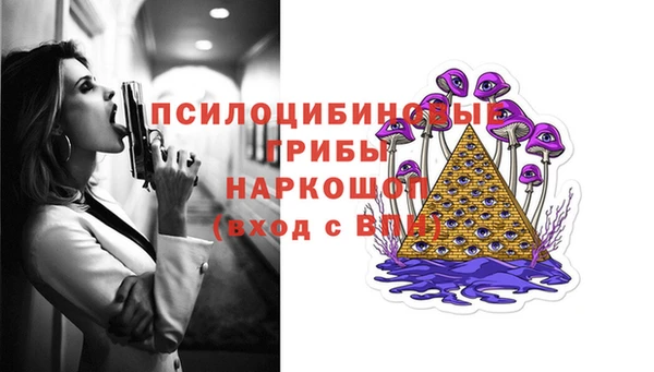 гидропоника Абаза